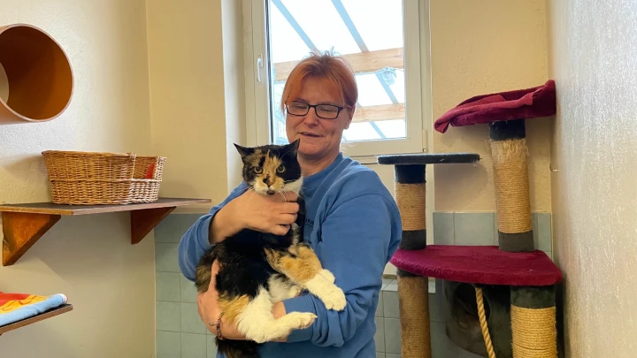 Katze Fanny im Körbchen eingeschlossen ausgesetzt